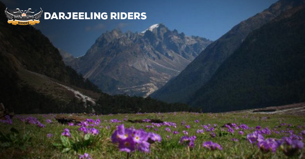 Bike Rental Services For Darjeeling Sikkim Tour 2021